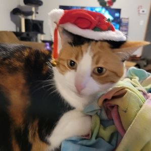 Meet your Posher, Jory